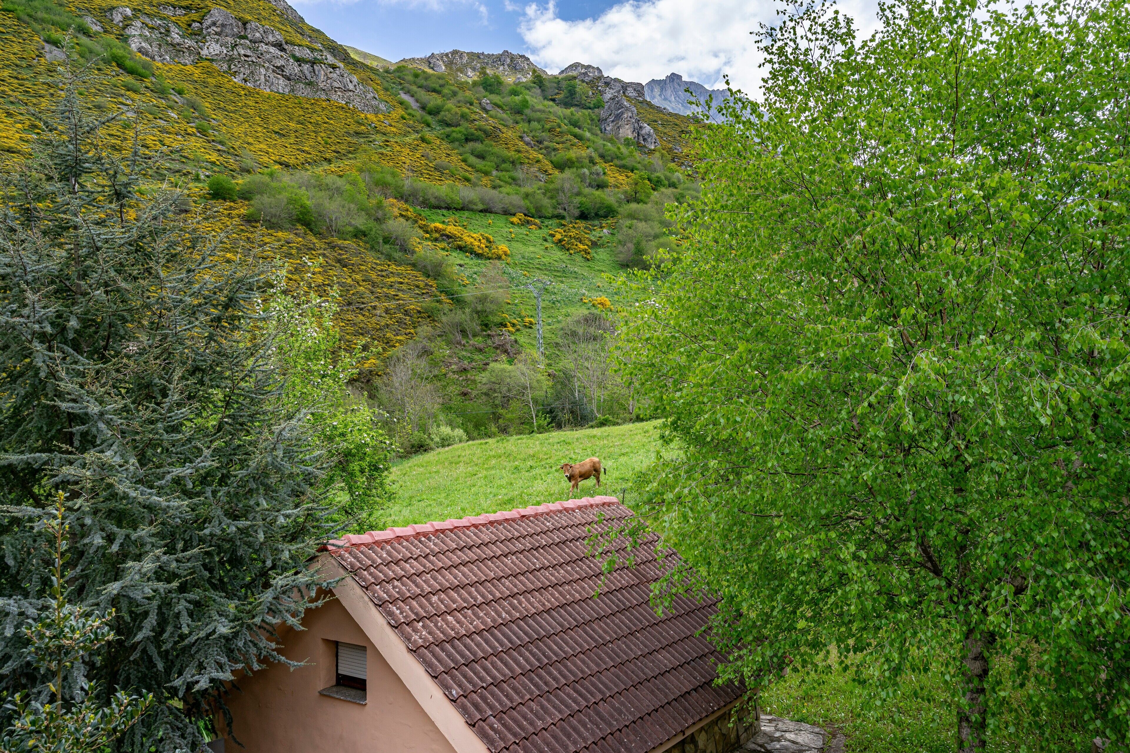 A rustic building with a tiled roof, surrounded by lush greenery and a mountain backdrop.