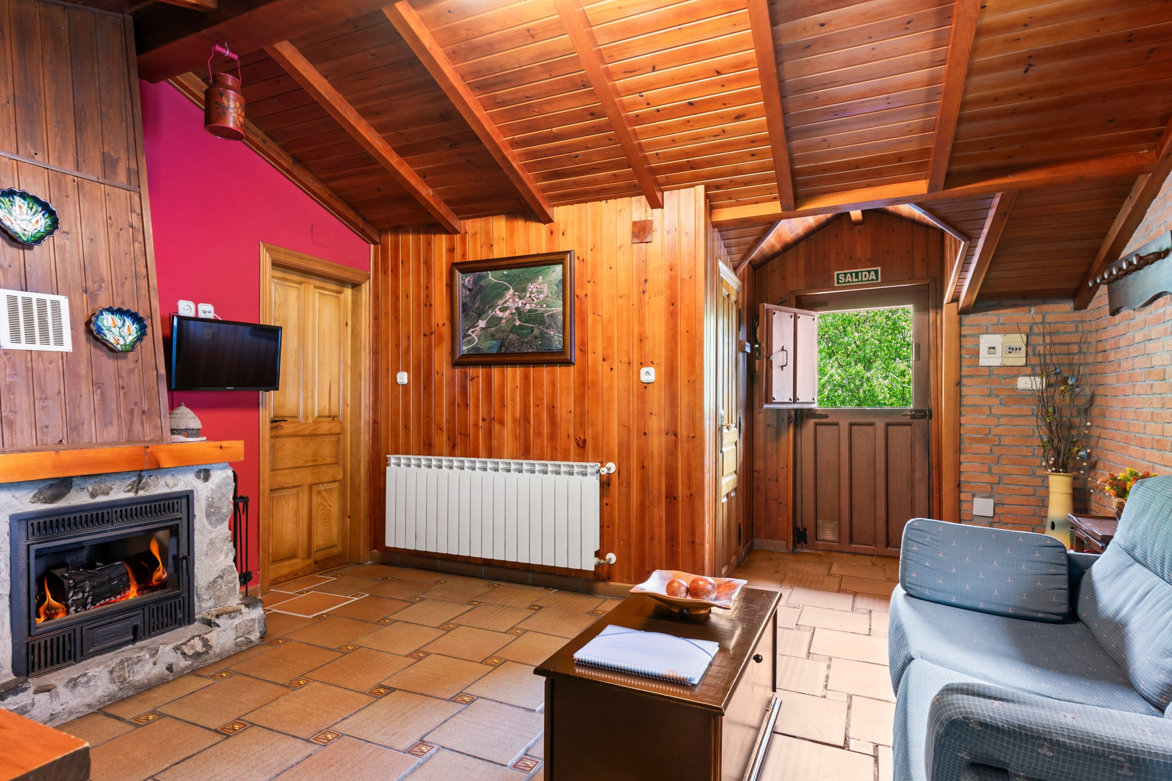 Televisor i llar de foc 