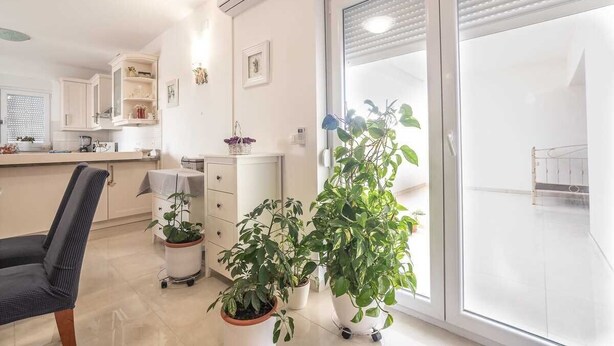 A modern kitchen with white cabinets, a dining area with a chair, and potted plants.