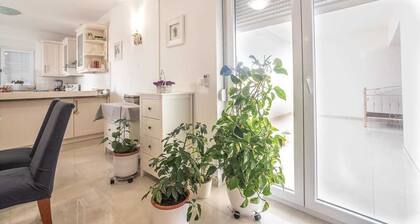 Apartment Sandrina A3 | Adriatic Luxury Villas