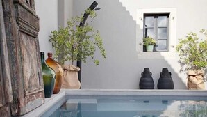 A pool area with a rustic wooden door, potted plants, and a window with a view. - Artistic Villa B1 - Adriatic Luxury Villas (Radetići)