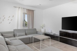 Télévision, cheminée, table de tennis de table