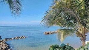 Una playa con agua cristalina, rocas y una palmera.