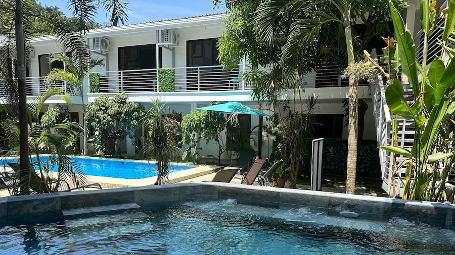 Wide Mouth Frog At Quepos