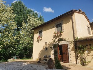 Superior studio suite | Terras