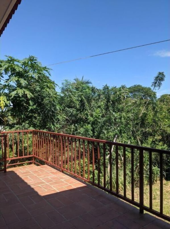 Área da propriedade