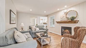 智能电视、壁炉、电子游戏、DVD 播放器