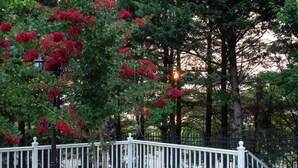 A white metal fence with a balustrade, a tree with red flowers, and a lamp post. - National Harbor Property 1 (Fort Washington)