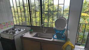 A kitchen with a gas stove, sink, and a window with a view of greenery.