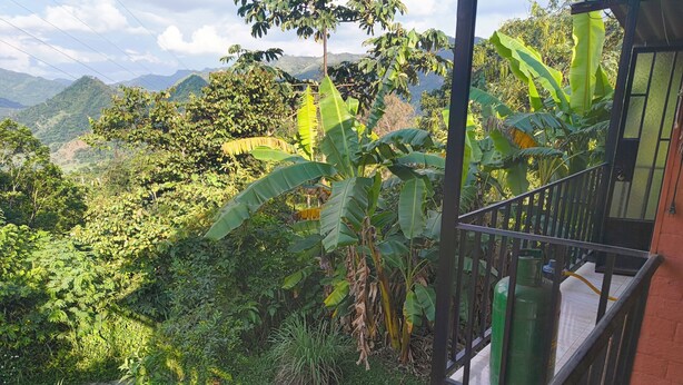 A balcony with a view of lush greenery and mountains.
