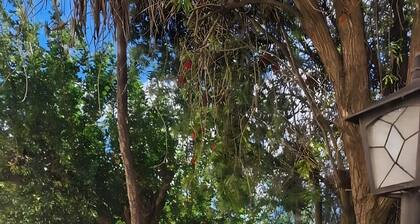 Apartment 'Casa De Mondo - Blue Room' with Shared Pool, Wi-Fi and Air Conditioning