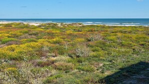 Un paysage côtier avec une plage et un terrain herbeux.