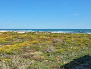 En la playa 