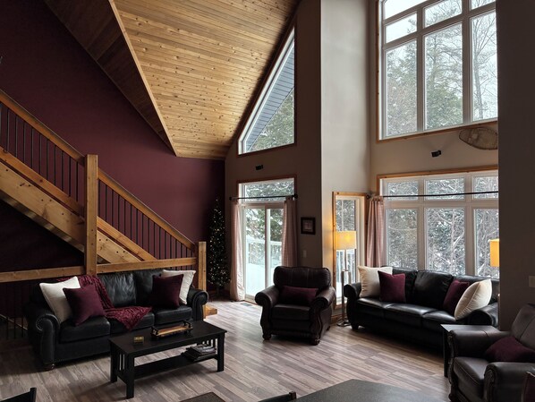 TV, fireplace, video games, stereo