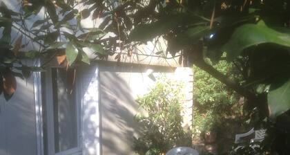 Villa junto al mar de los años 50 – Alojamiento acogedor a 50 m de la playa, terraza y vista al mar