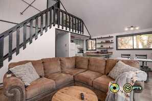 TV connectée, cheminée, lecteur de DVD, livres