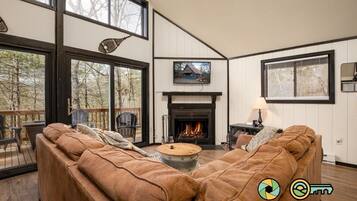 TV connectée, cheminée, lecteur de DVD, livres