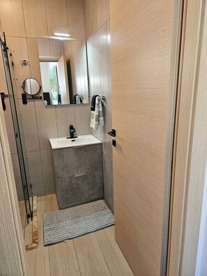 Shower, towels, toilet paper