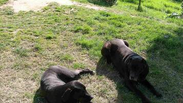 House | Interior detail