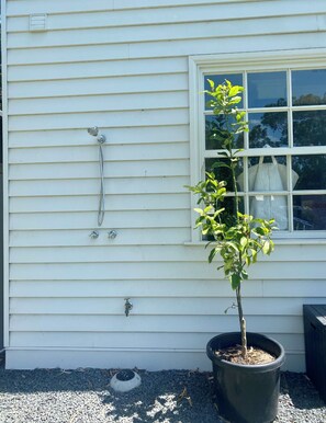 Property grounds - The School House (Cowes)