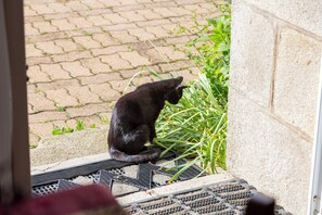 Enceinte de lâhĂ©bergement