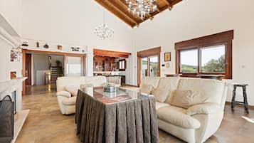 TV, fireplace, ping pong