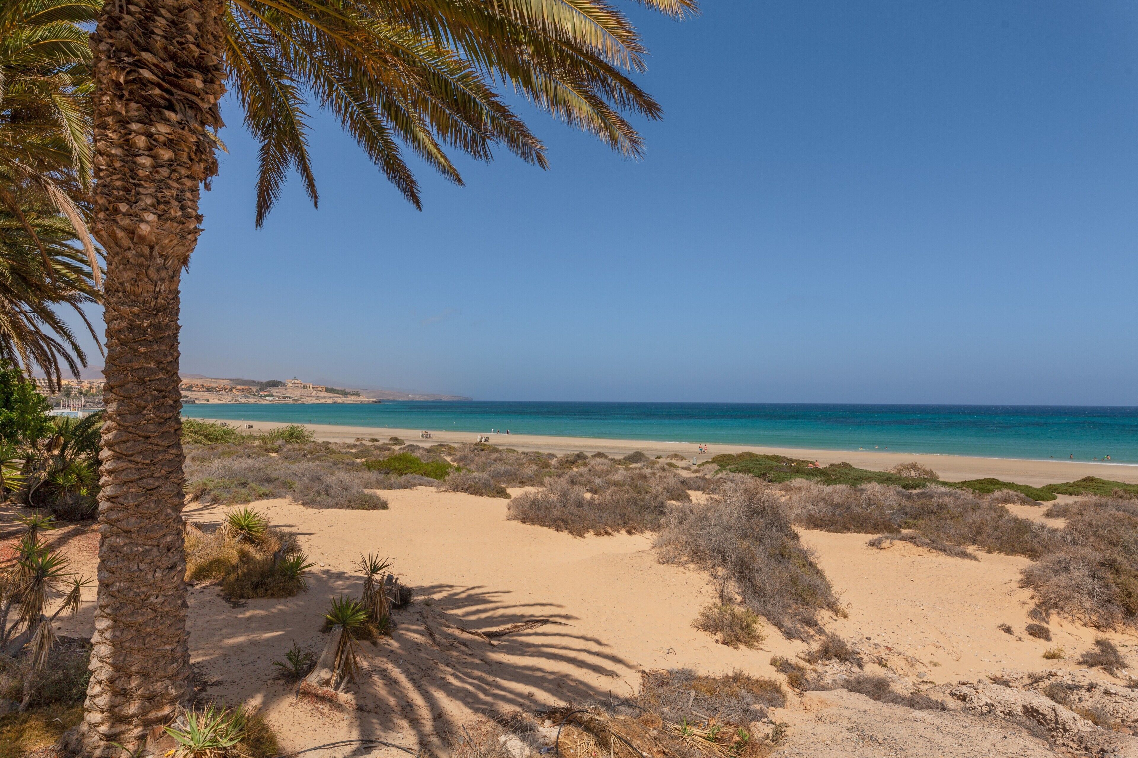 Playa en los alrededores 