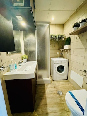 Shower, hair dryer, towels