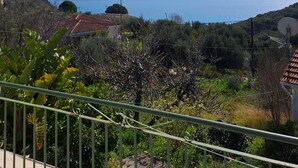 A coastal landscape with a clear view of the sea, a house with a red roof, and lush greenery. - Holiday Home 'Palati' with Sea View, Wi-Fi and Air Conditioning (Kefalonia)