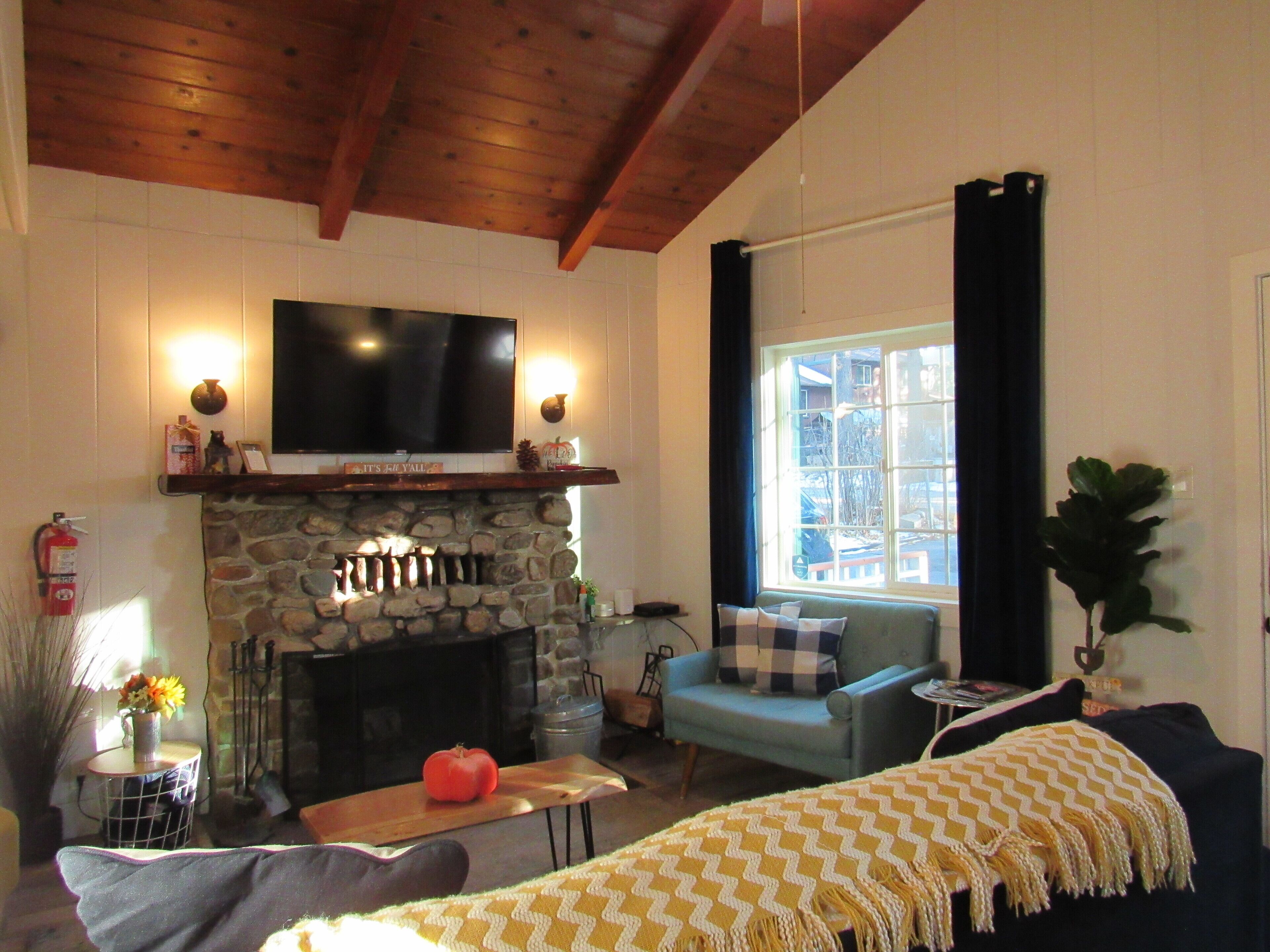 Smart TV, fireplace, DVD player, music library