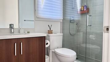 Shower, hair dryer, towels, soap