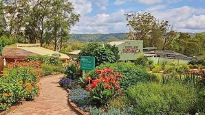 Un sendero en un jardín conduce a un edificio con la leyenda 'Distillery Botanica', con abundante follaje y árboles al fondo.