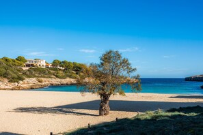 Una playa cerca