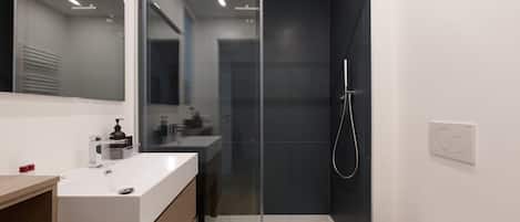 Shower, hair dryer, bidet, towels