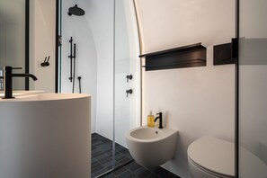 Shower, hair dryer, bidet, towels