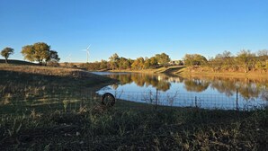 Un paysage paisible avec un lac tranquille, des arbres et des éoliennes.
