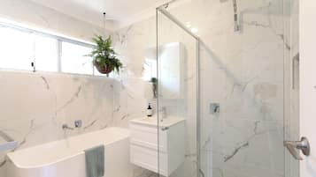Shower, hair dryer, towels, soap