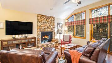 TV connectée, cheminée, lecteur de DVD, livres