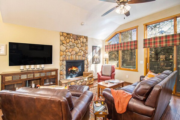 Smart TV, fireplace, DVD player, books