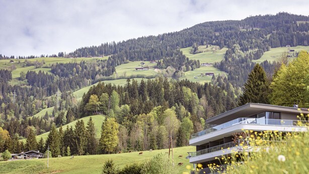 A modern building with a flat roof and large windows, surrounded by a lush green landscape with rolling hills and scattered trees. - Cosy Apartment on the Ski-slope (Hopfgarten im Brixental)