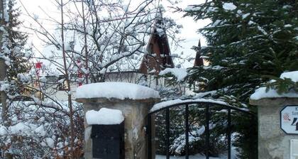 Villa Wellspacher - renovated 19th Century Villa - private Apartments, sleep up to 5 & Free Parking