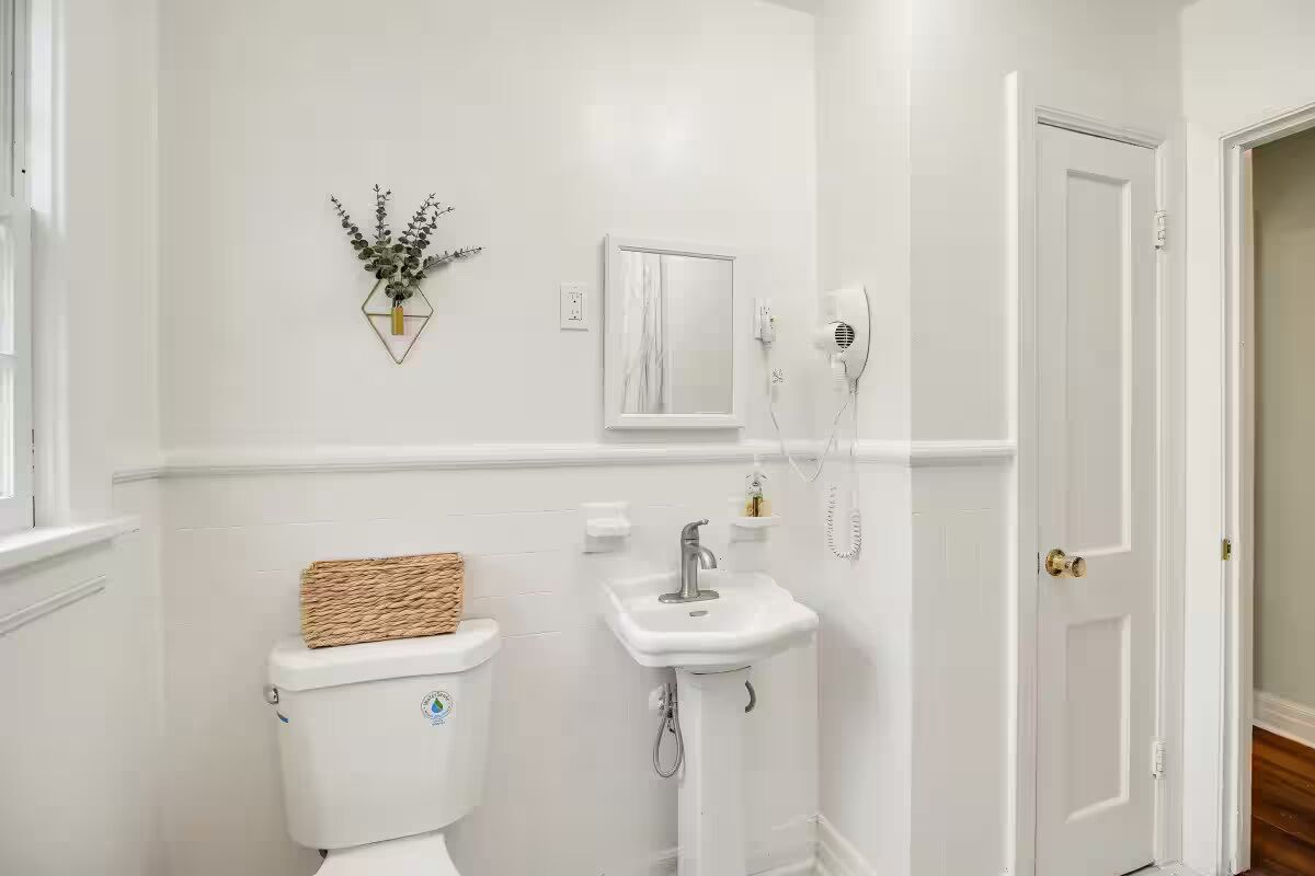 Hair dryer, towels, soap, toilet paper