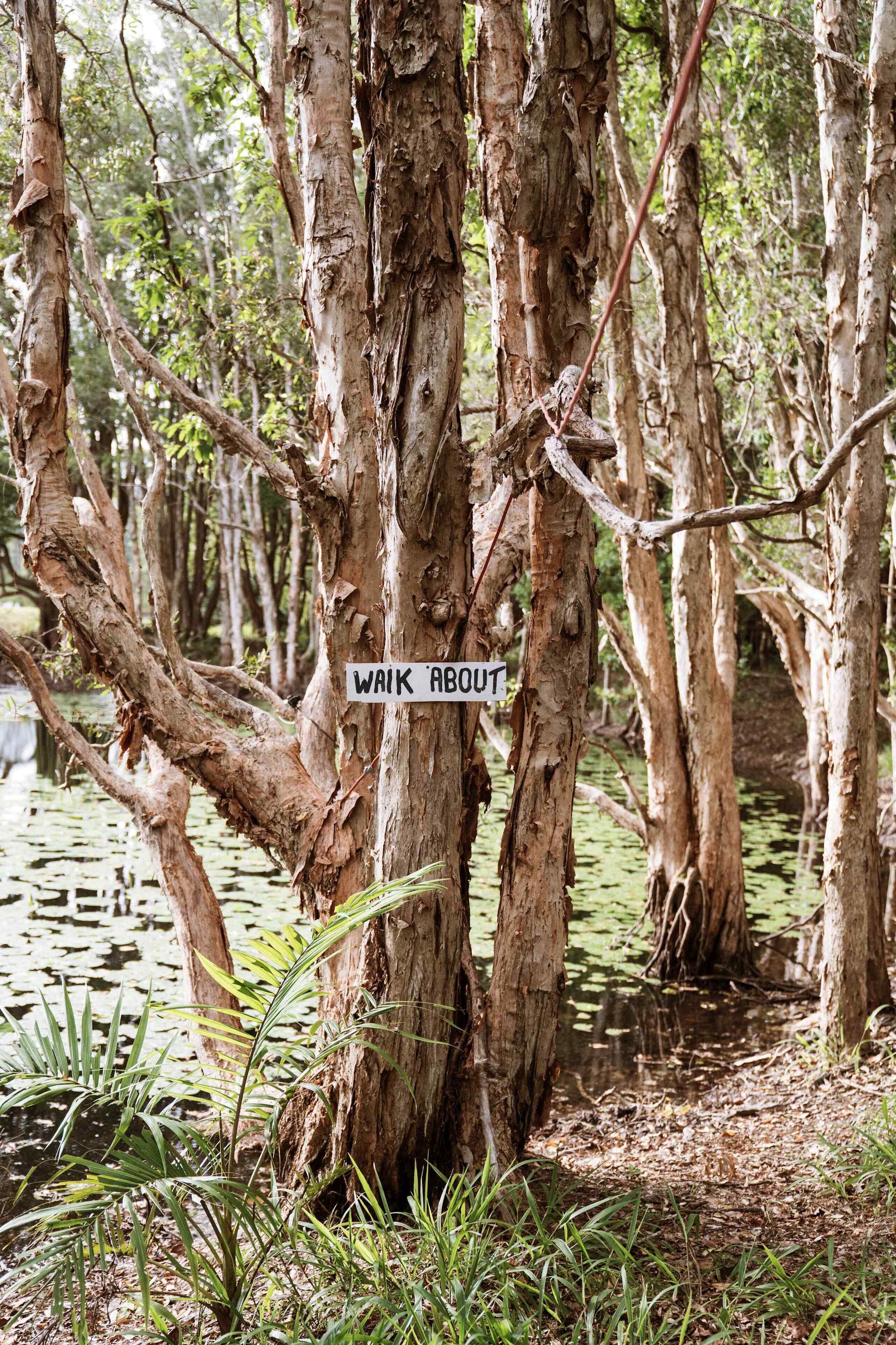 A natural setting with trees and a sign that reads 'WAKE ABOUT.'