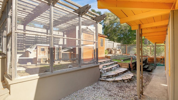 Un'area esterna riparata con una pergola in legno, una finestra con zanzariera e un vialetto sterrato che conduce a una struttura in legno.