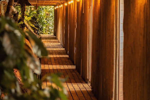 Hair dryer, slippers, bidet, towels