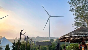 Un sentiero conduce a una struttura in legno rustica con tetto di paglia, immersa nel verde e con una turbina eolica sullo sfondo.