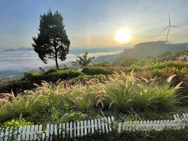 A landscape with a white picket fence, a tree, and a wind turbine in the background.
