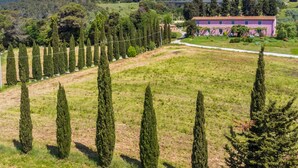 A rural landscape with a row of tall cypress trees, a purple building with a tiled roof, and a hilly backdrop. - Marruca by Interhome (Castiglioncello)