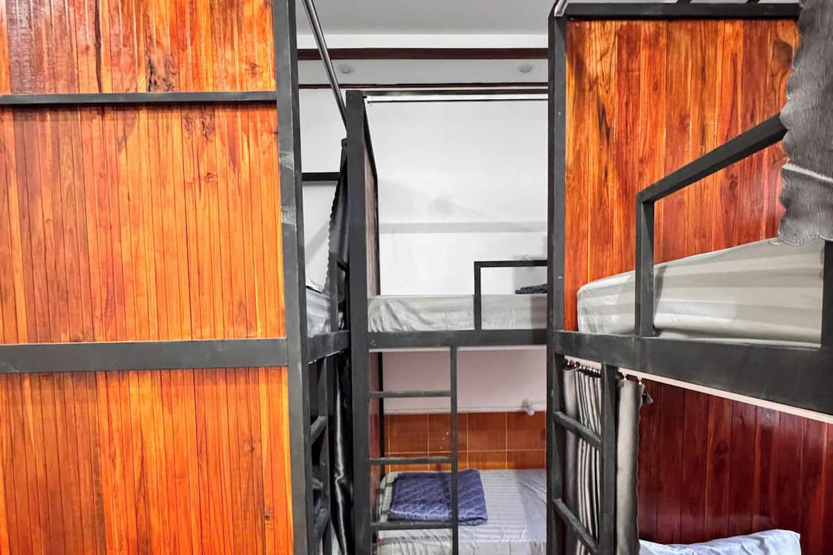 Standard Shared Dormitory, Garden View