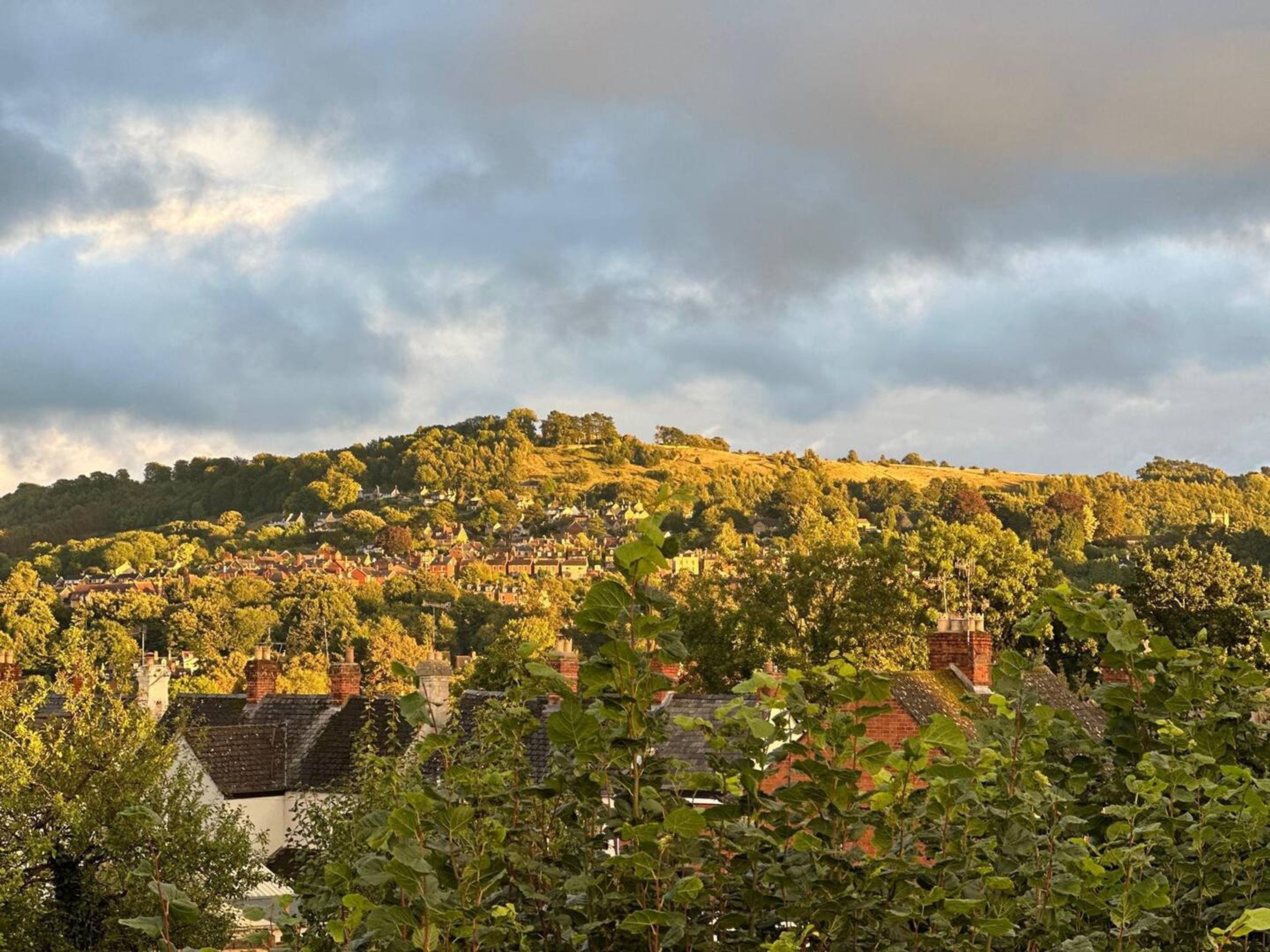 A hillside village with traditional houses, dense greenery, and a cloudy sky.